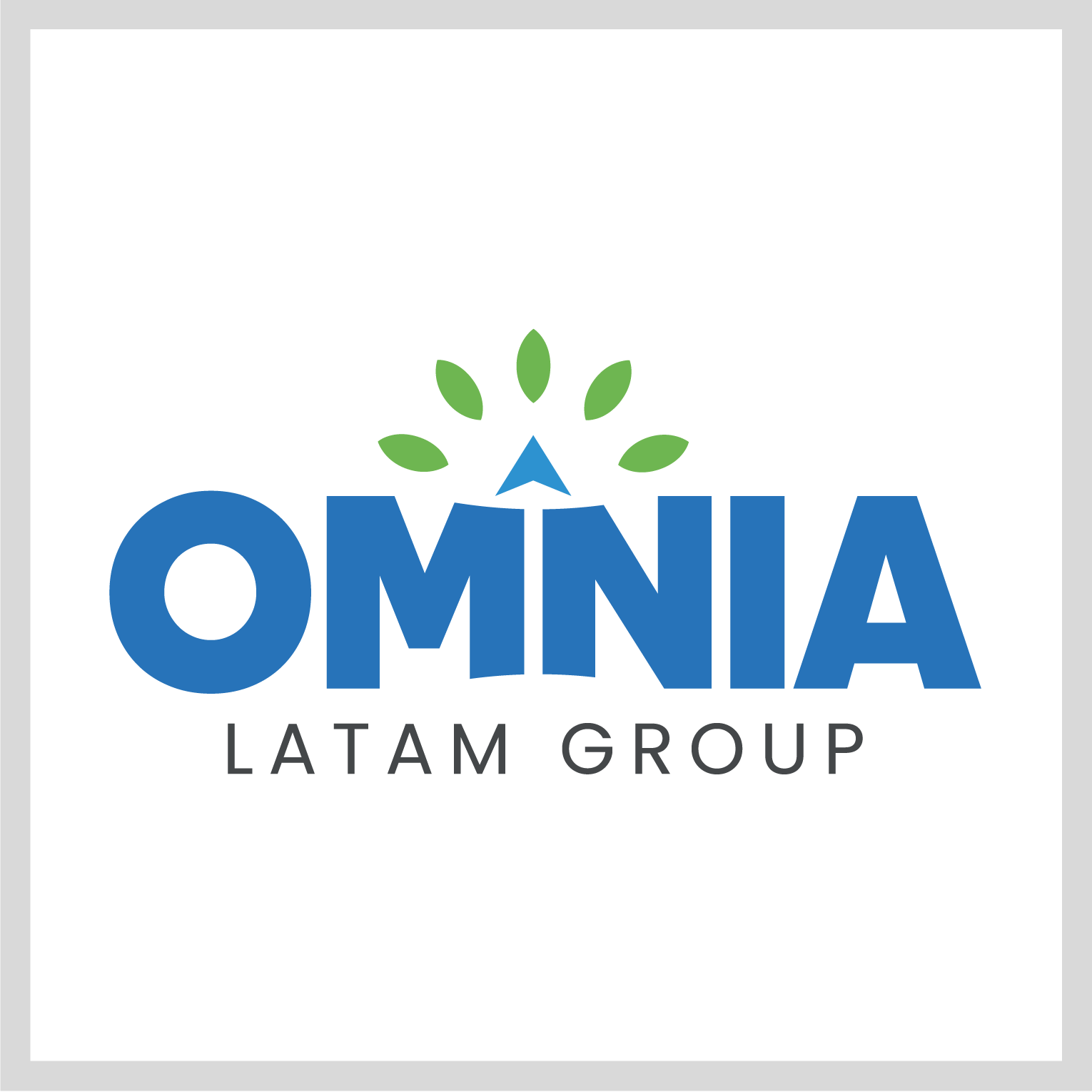 OMNIA LATAM GROUP S.A.C.